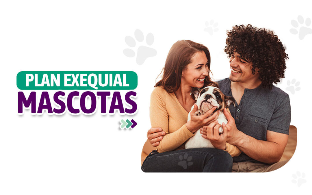 ¡Tu lealtad merece ser inmortal! Descubre el Plan Exequial para Mascotas.